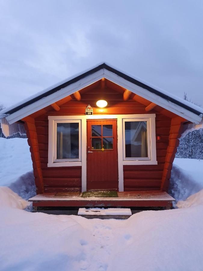 Tromso Lodge & Camping المظهر الخارجي الصورة