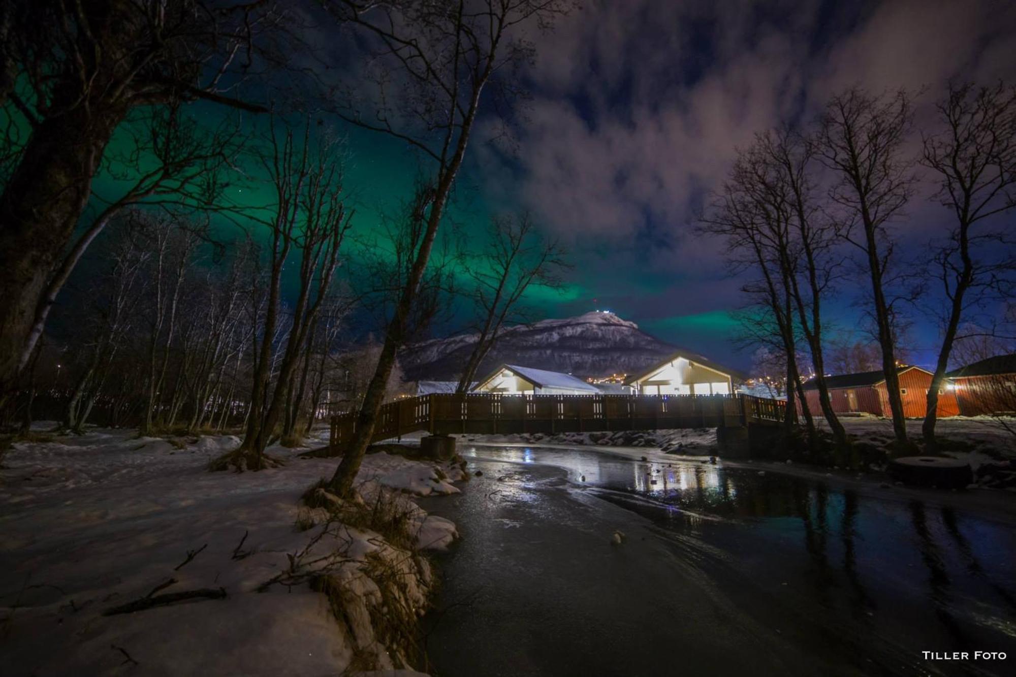 Tromso Lodge & Camping المظهر الخارجي الصورة